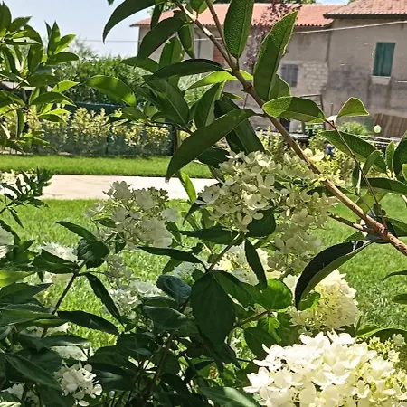 La Casa Di Sara Διαμέρισμα *
